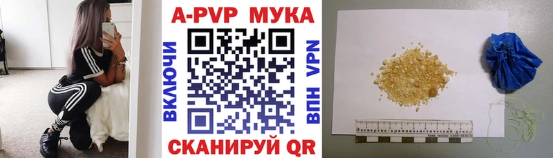 A PVP СК КРИС Белово