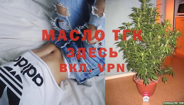 эйфоретик Богданович