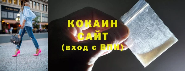 гидра Бронницы