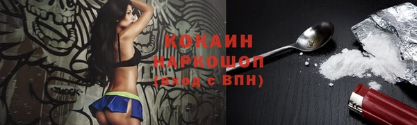 индика Богородицк