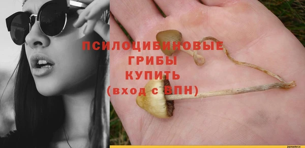эйфоретик Богданович