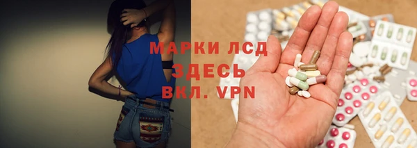 индика Богородицк