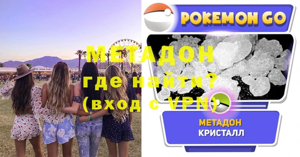индика Богородицк