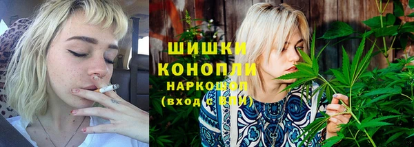 гидра Бронницы