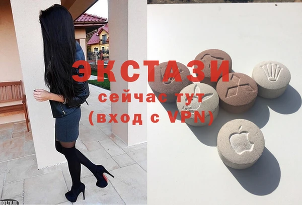 индика Богородицк
