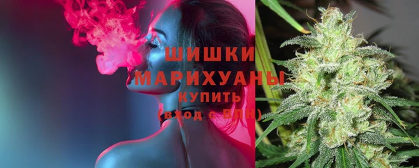 индика Богородицк