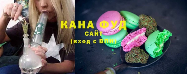 индика Богородицк