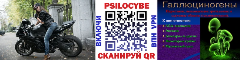 Псилоцибиновые грибы Cubensis Белово