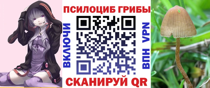 Галлюциногенные грибы GOLDEN TEACHER  KRAKEN рабочий сайт  мориарти Telegram  Белово 